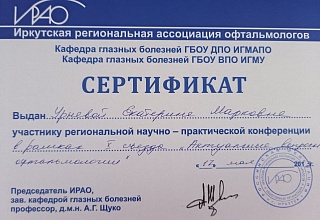 Сертификат об участии в научно-практической конференции, 2013