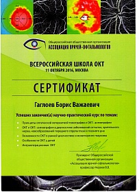 Сертификат Всероссийской школы ОКТ, 2016