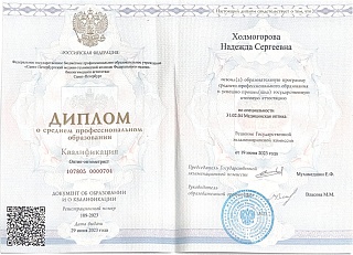 Диплом об окончании колледжа, 2023