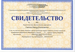 Свидетельство участника конференции