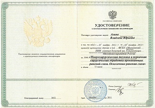 Удостоверение о краткосрочном повышении квалификации, 2011