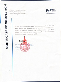 Сертификат  «Faculty of medicine», 2022