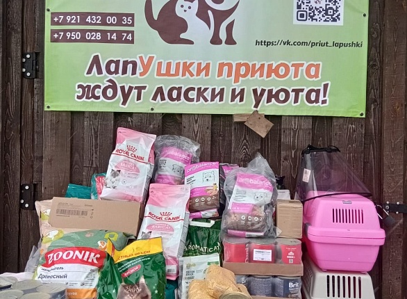 Помогаем приюту для животных «ЛапУшка»