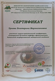 Сертификат об участии в научно-практической конференции, 2017