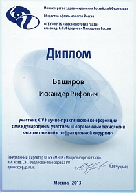 Диплом участника конференции, 2013