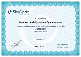 Сертификат об участии в «SKYLENS», 2024